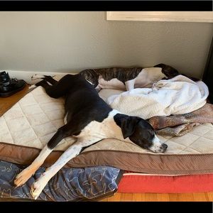 Meet your Posher, Sandra